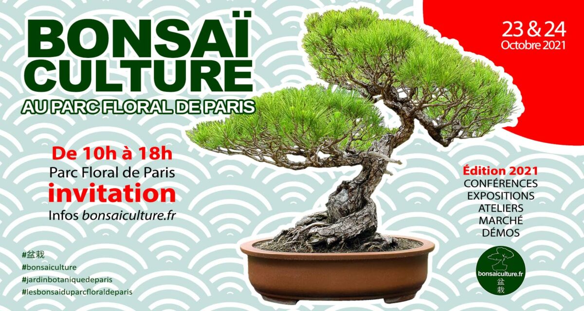 Expo Bonsaï Parc Floral Paris 23&24 Octobre 2021 Sabine Besnard